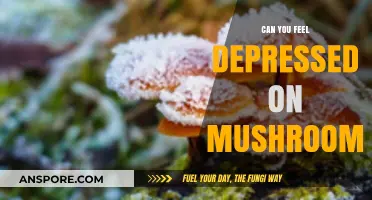 Exploring the Link: Depression and Psilocybin Mushroom Experiences