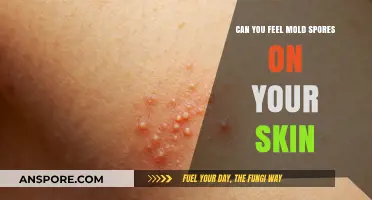 Can You Feel Mold Spores on Your Skin? Unveiling the Truth