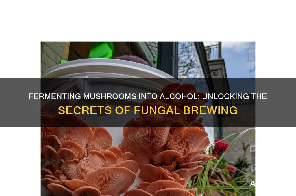 can you ferment mushrooms into alcohol
