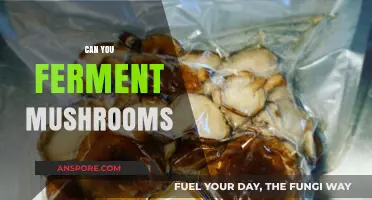 Fermenting Mushrooms: Unlocking Unique Flavors and Health Benefits