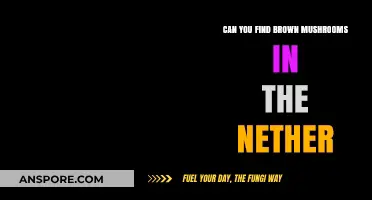 Finding Brown Mushrooms in the Nether: Myth or Reality?