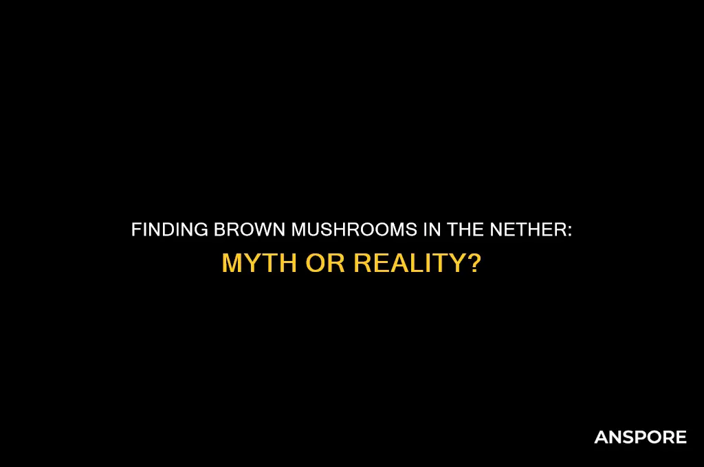 can you find brown mushrooms in the nether
