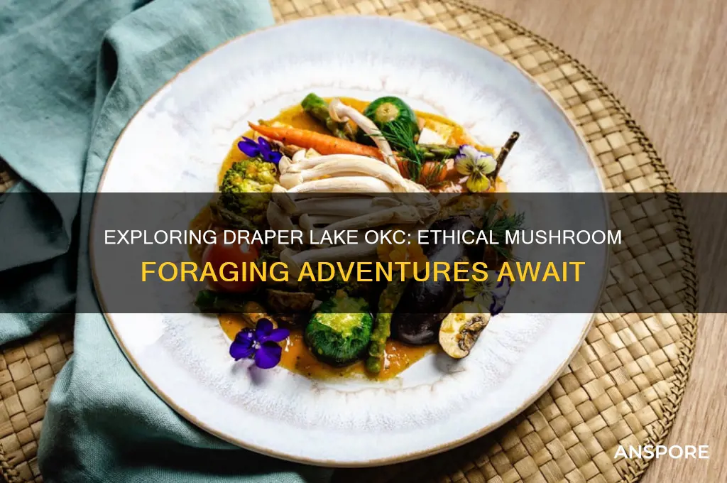 can you find moral mushrooms at draper lake okc