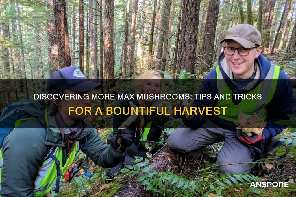 can you find more max mushrooms