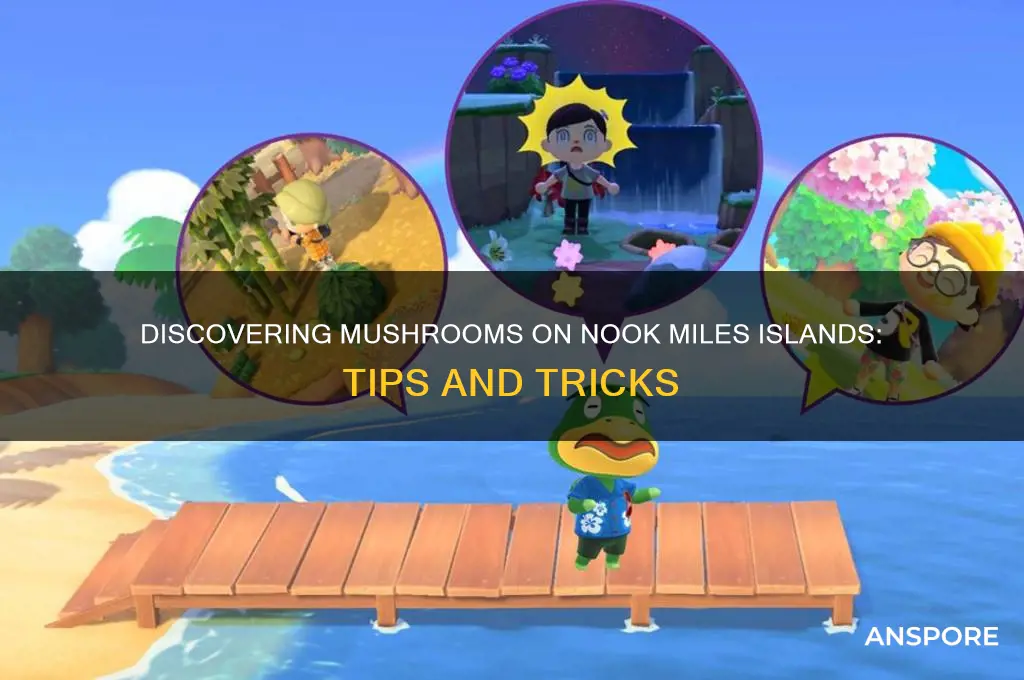 can you find mushrooms on nook miles islands