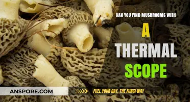 Thermal Scopes for Mushroom Hunting: Effective Tool or Useless Gadget?