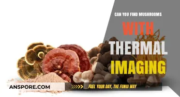 Thermal Imaging for Mushroom Hunting: Unveiling Hidden Fungi in the Wild