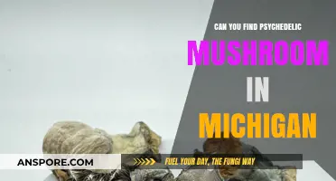 Exploring Michigan's Forests: Are Psychedelic Mushrooms Hidden Here?