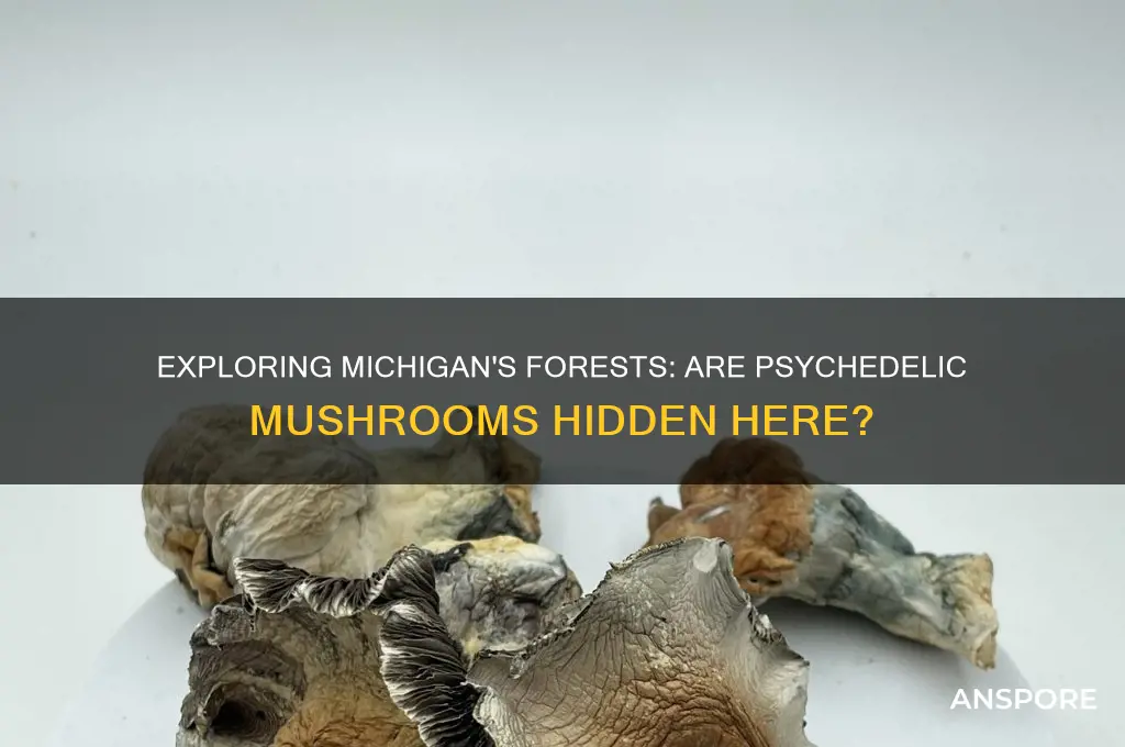 can you find psychedelic mushrooms in michigan