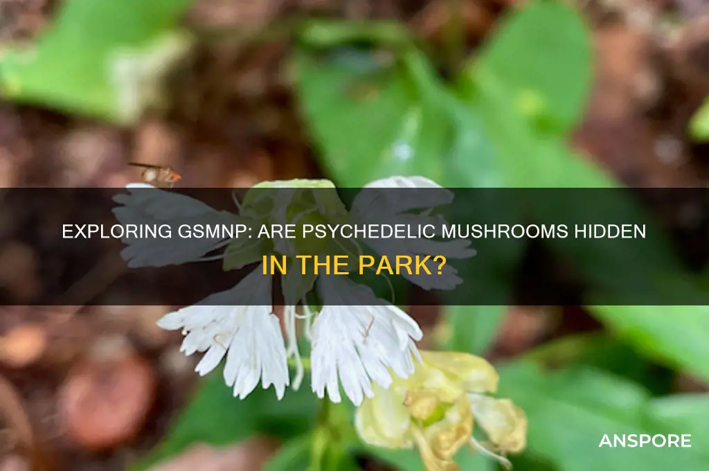 can you find psychedlic mushrooms in the gsmnp