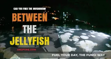 Spot the Mushroom Hidden Among the Jellyfish: A Fun Challenge