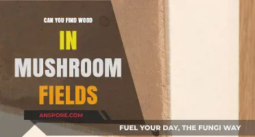 Exploring Mushroom Fields: Uncovering the Presence of Wood Within