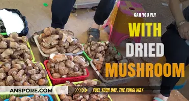 Flying with Dried Mushrooms: Legalities, Risks, and Travel Tips
