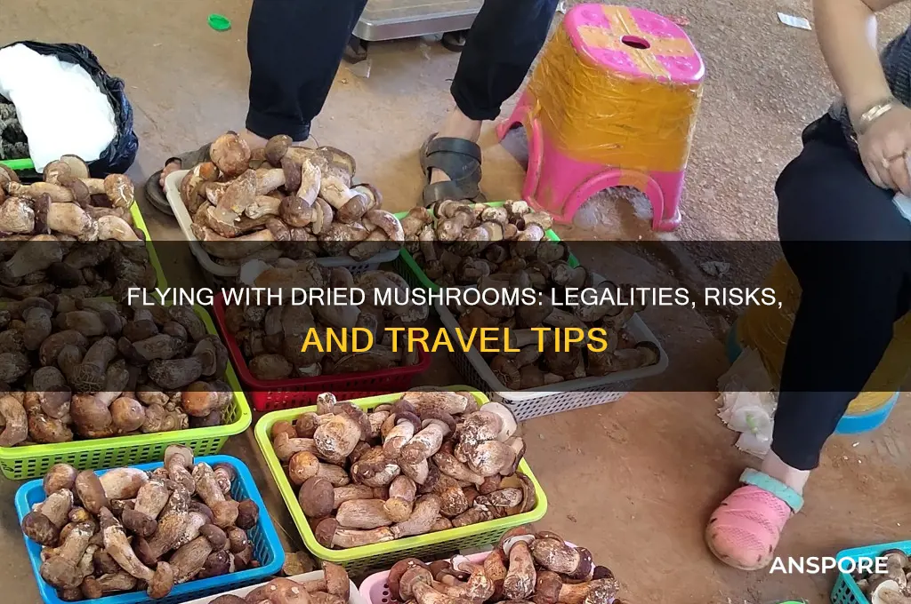 can you fly with dried mushrooms
