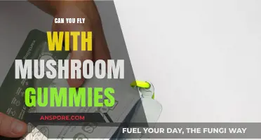 Flying with Mushroom Gummies: Legal, Safe, or Grounded?