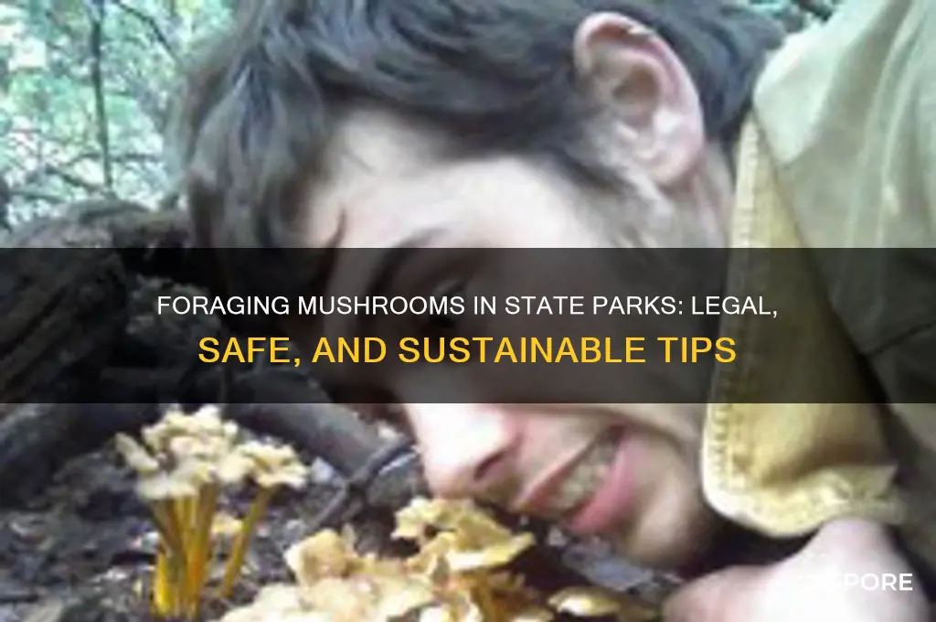 can you forage mushrooms in state parks