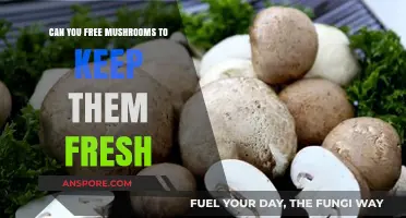 How to Free Mushrooms Properly for Maximum Freshness and Flavor