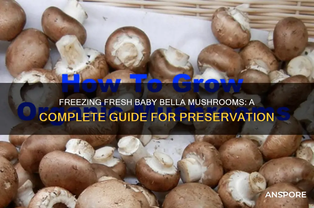 can you freez3 fresh baby bella mushrooms