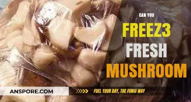 Freezing Fresh Mushrooms: A Complete Guide to Preserve Their Flavor