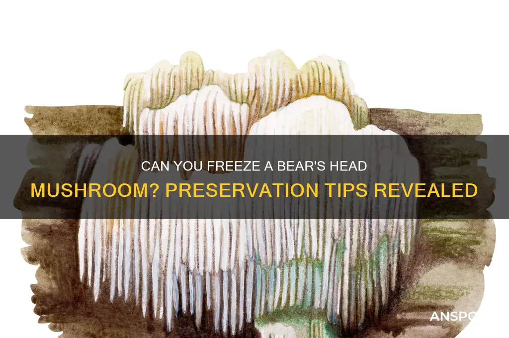 can you freeze a bears head mushroom