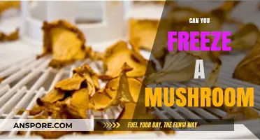 Freezing Mushrooms: A Complete Guide to Preserving Freshness and Flavor