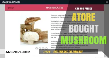 Freezing Store-Bought Mushrooms: A Complete Guide to Preservation and Freshness