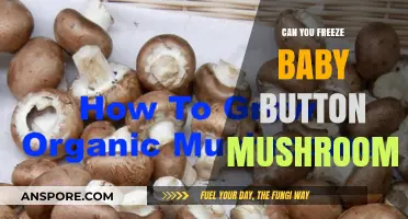 Freezing Baby Button Mushrooms: A Complete Guide to Preservation