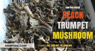 Freezing Black Trumpet Mushrooms: A Guide to Preservation and Storage