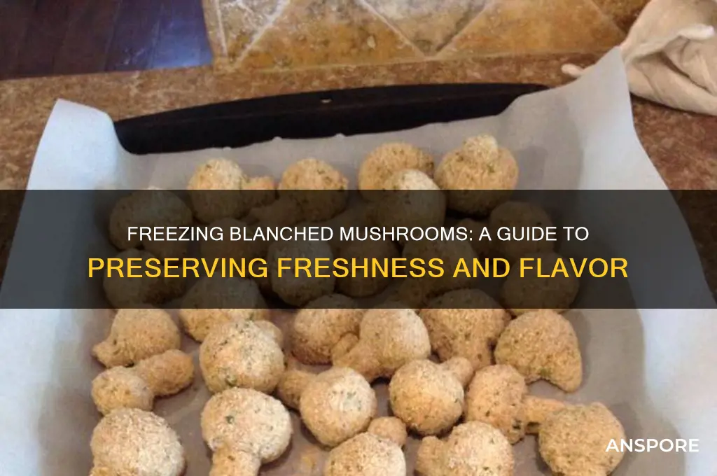 can you freeze blanched mushrooms
