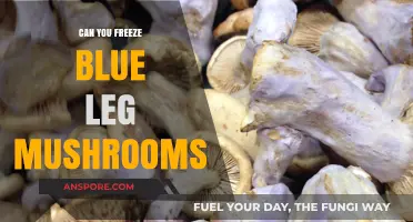 Freezing Blue Leg Mushrooms: A Guide to Preservation and Storage
