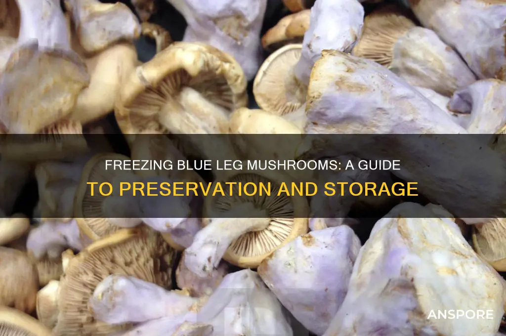 can you freeze blue leg mushrooms