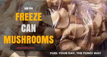 Freezing Mushrooms: A Complete Guide to Preserving Freshness and Flavor