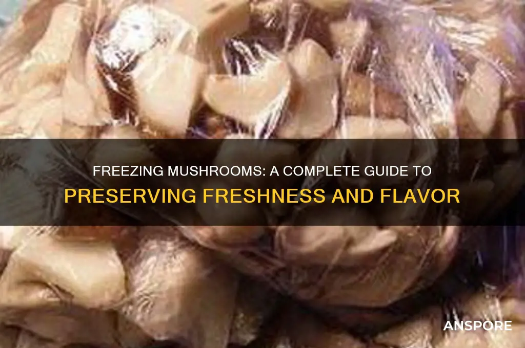 can you freeze can mushrooms