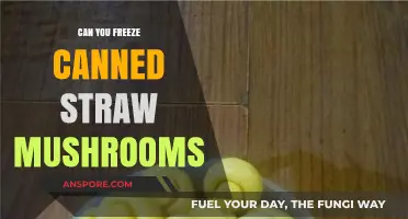 Freezing Canned Straw Mushrooms: A Complete Guide to Preservation