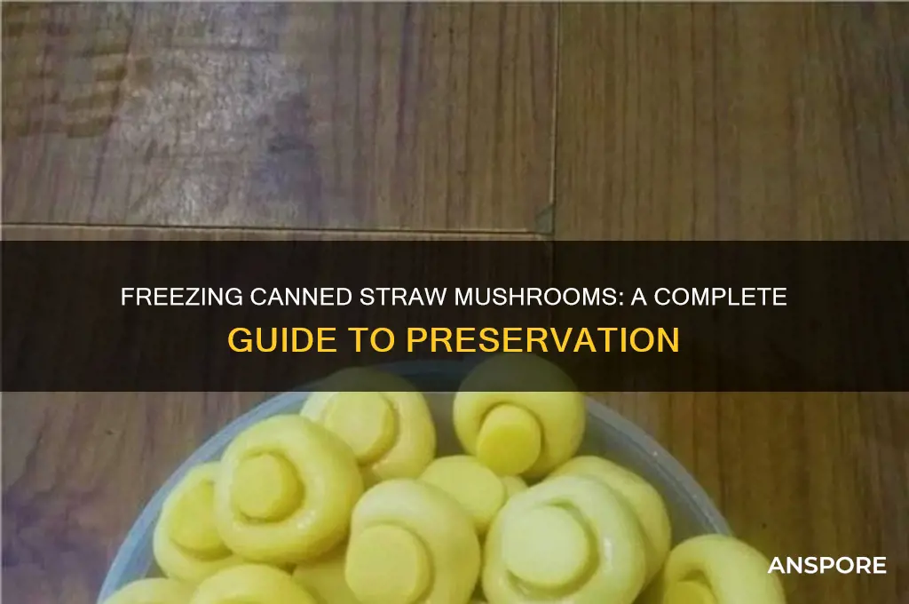 can you freeze canned straw mushrooms