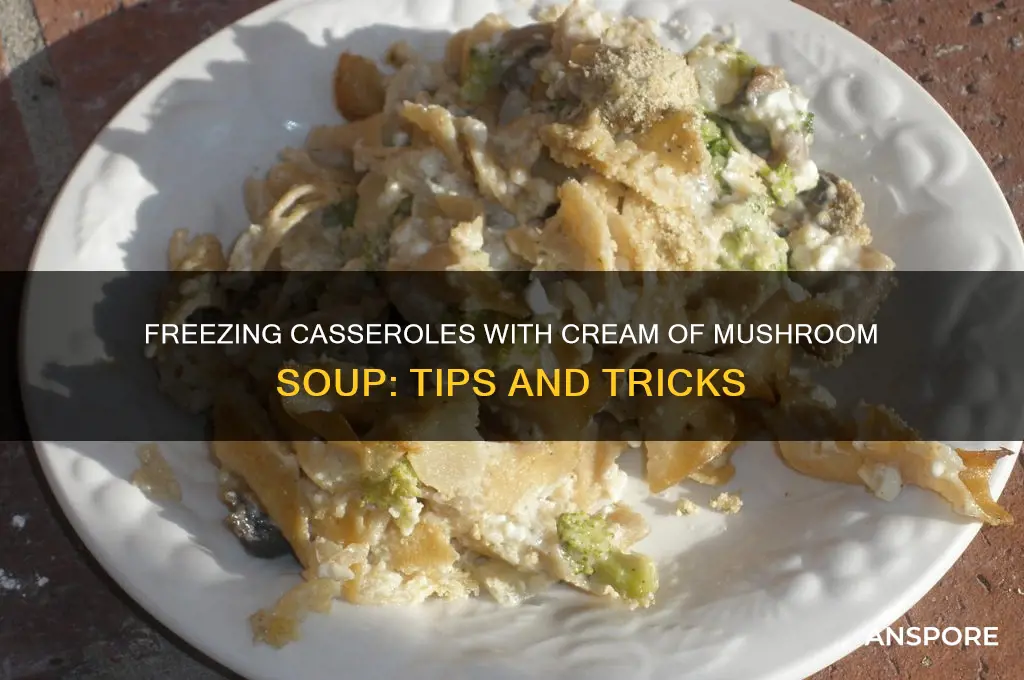 can you freeze casseroles with cream of mushroom soup
