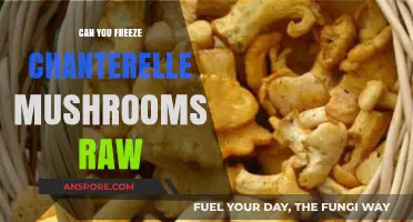 Freezing Chanterelle Mushrooms Raw: A Complete Preservation Guide