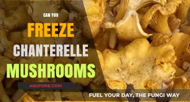 Freezing Chanterelle Mushrooms: A Guide to Preserving Their Flavor and Texture