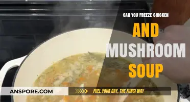 Freezing Chicken and Mushroom Soup: Tips for Perfect Preservation