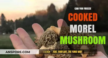 Freezing Cooked Morel Mushrooms: Tips for Preserving Their Unique Flavor