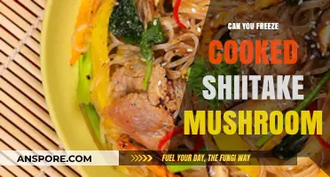 Freezing Cooked Shiitake Mushrooms: Tips for Storage and Freshness
