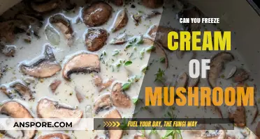 Freezing Cream of Mushroom: Tips for Storing and Preserving Safely