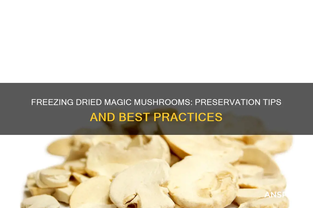 can you freeze dried magic mushrooms