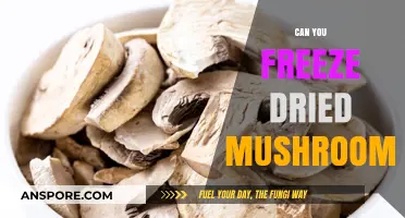 Freezing Dried Mushrooms: A Complete Guide to Preservation and Storage