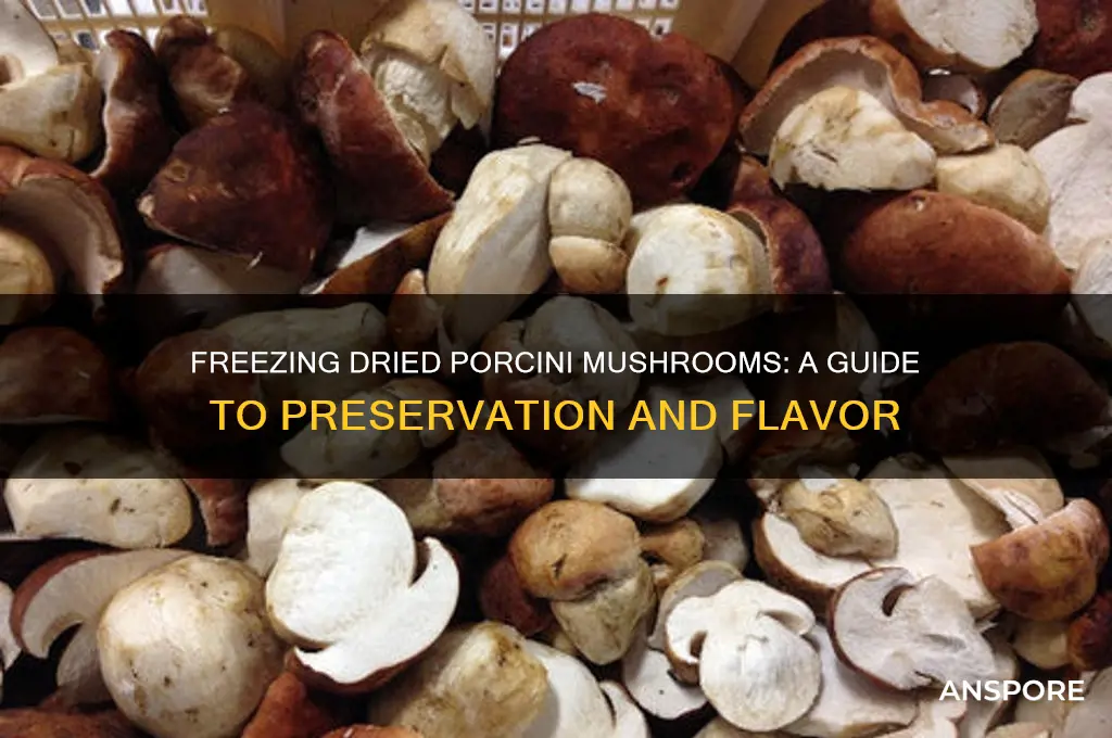 can you freeze dried porcini mushrooms