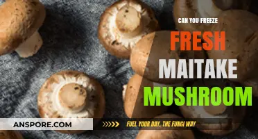 Freezing Fresh Maitake Mushrooms: A Complete Guide to Preservation