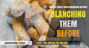 Freezing Fresh Mushrooms: Blanching Optional or Necessary?