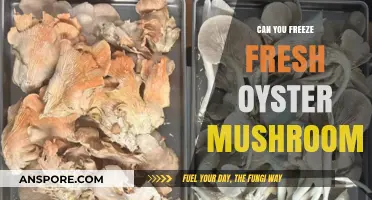 Freezing Fresh Oyster Mushrooms: A Complete Guide to Preservation