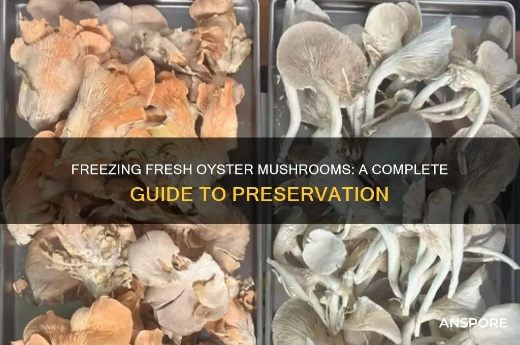 can you freeze fresh oyster mushrooms