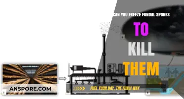 Freezing Fungal Spores: Effective Method to Kill or Preserve Them?